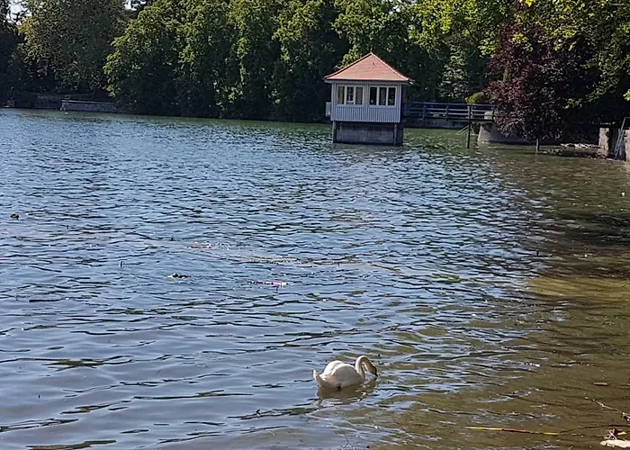 Apartment Seerose