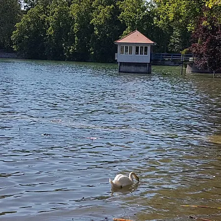 Apartment Seerose